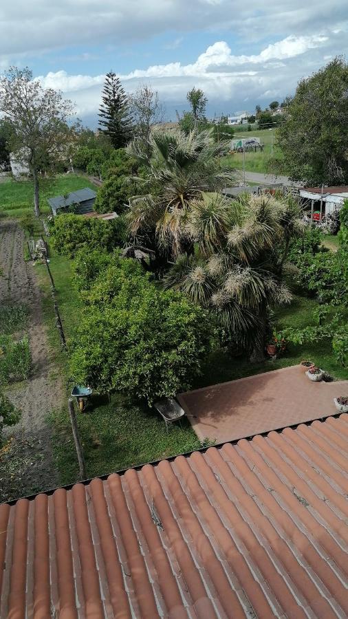 B&B Cilento Paestum Extérieur photo