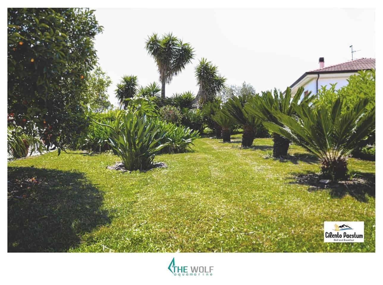 B&B Cilento Paestum Extérieur photo